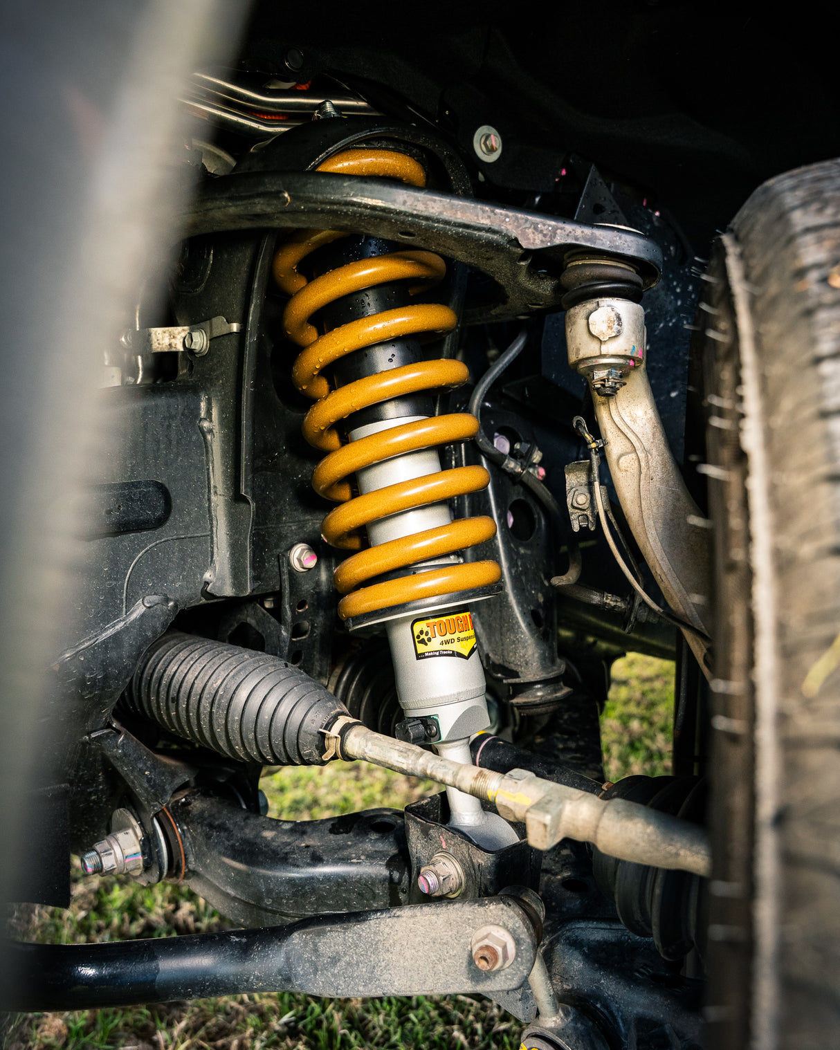 Tough Dog Adjustable Assembled Struts Toyota Tundra 2022+