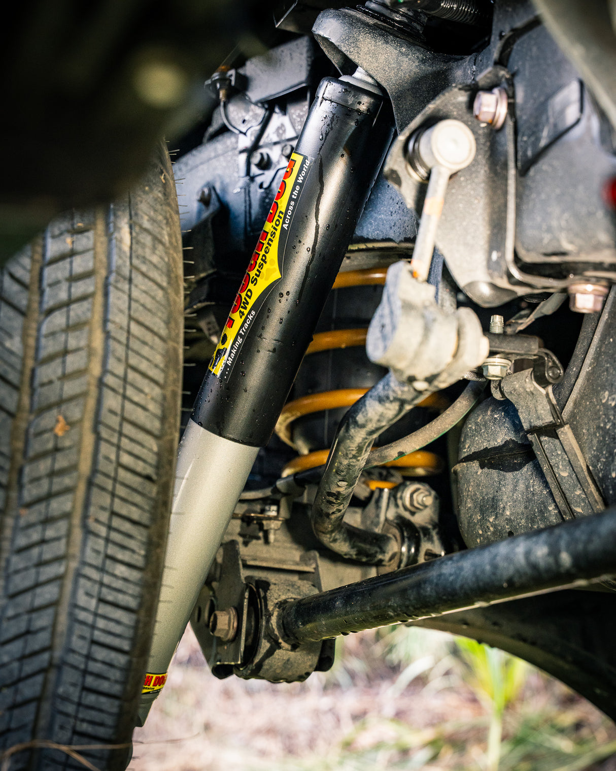 Tough Dog Adjustable Rear Shocks Toyota Tundra 2022+