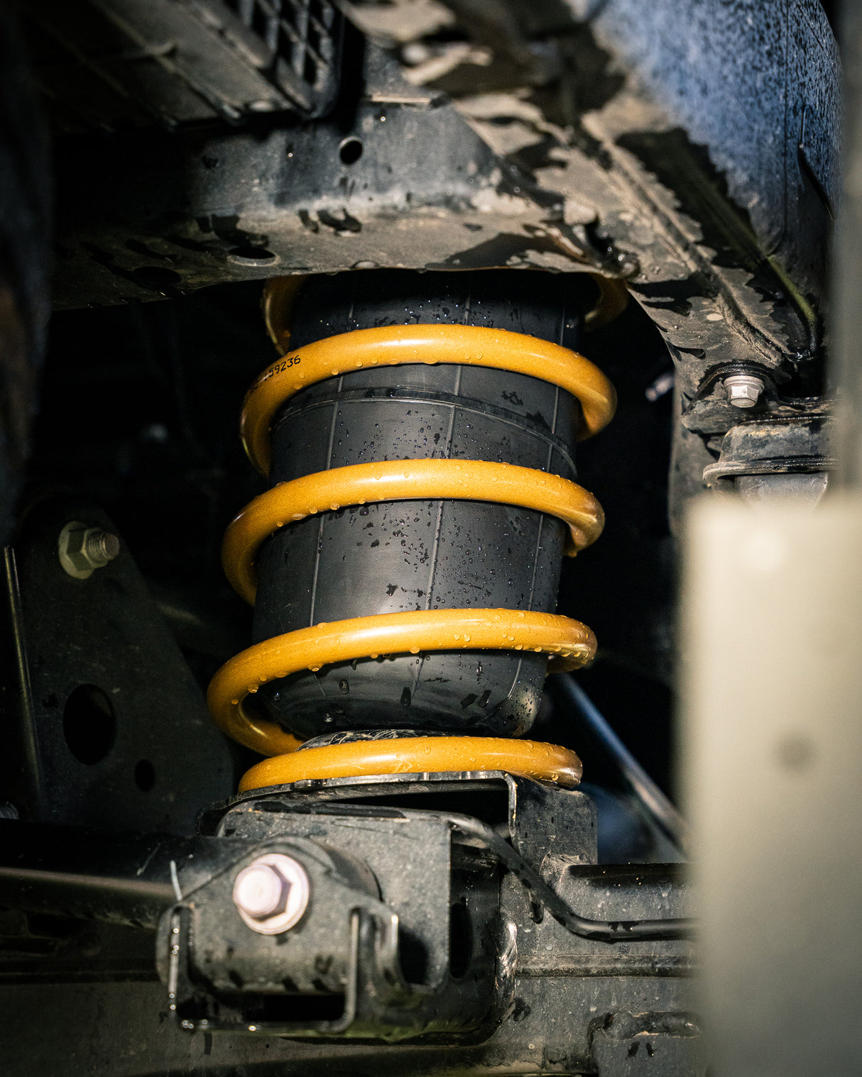 Tough Dog Suspension Toyota Tundra 2022+