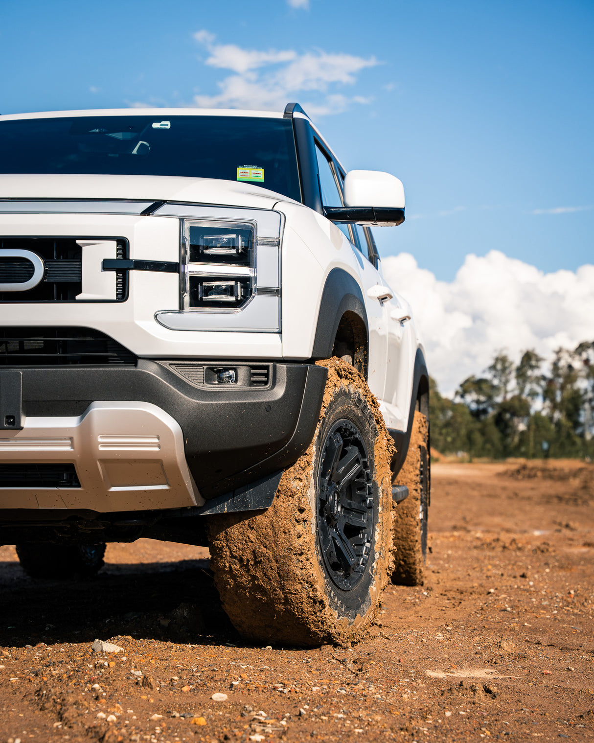 Tough Dog Suspension BYD Shark 6