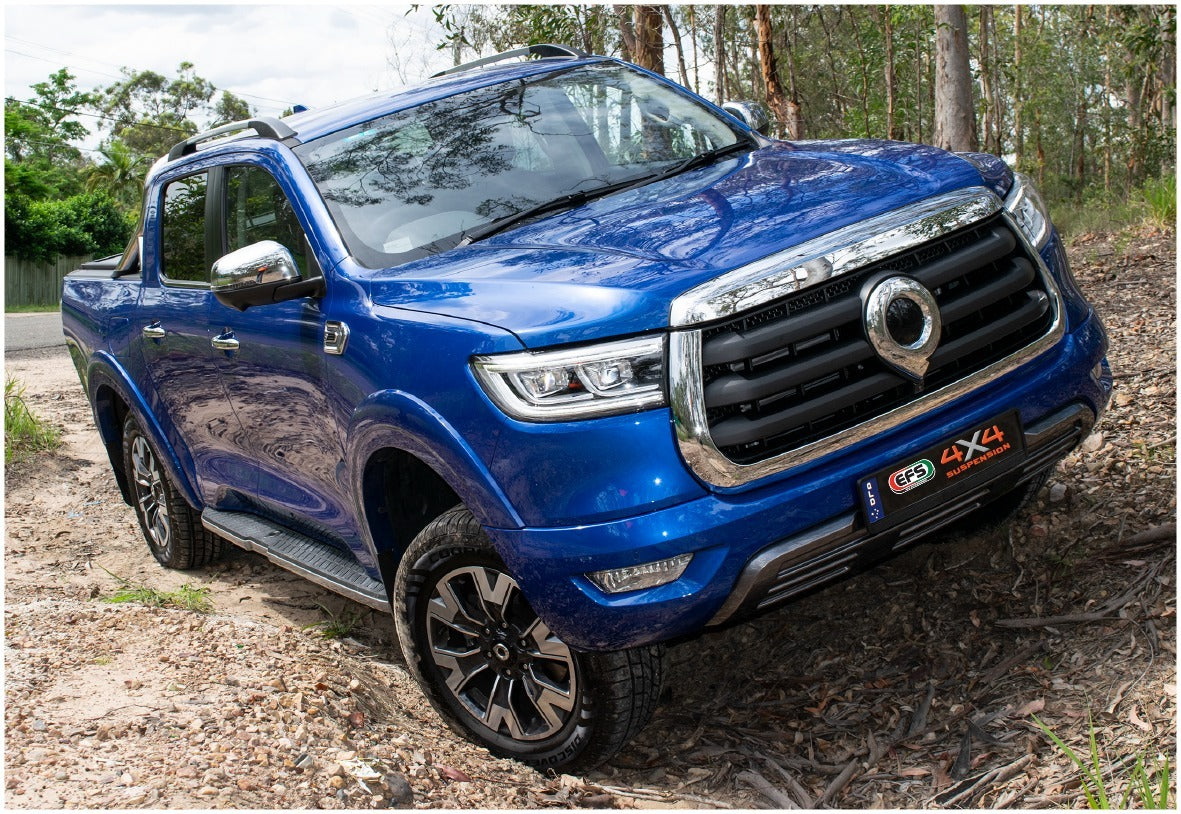 EFS Suspension Kit Great Wall Cannon