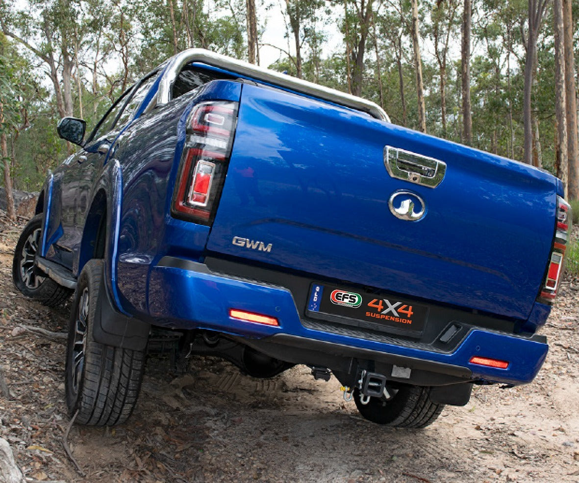 EFS Suspension Kit Great Wall Cannon