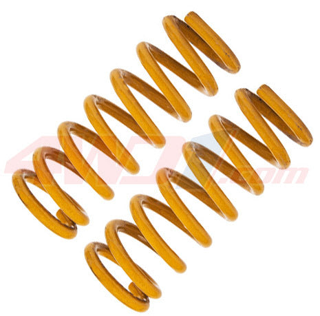 TOUGH DOG REAR COIL SPRINGS FOR MITSUBISHI CHALLENGER PAII
