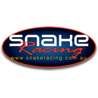 Snake Racing
