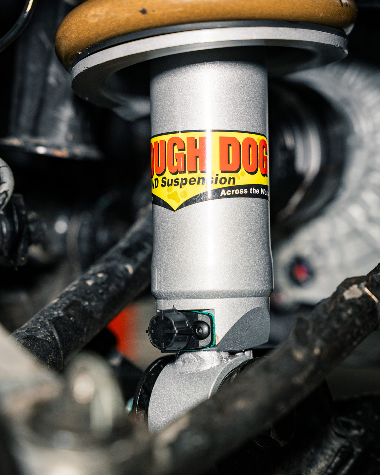 Tough Dog Adjustable Front Struts BYD Shark 6