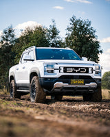 Tough Dog Suspension BYD Shark 6