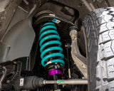 Dobinsons IMS Suspension/Lift Kit Ford Everest Next Gen