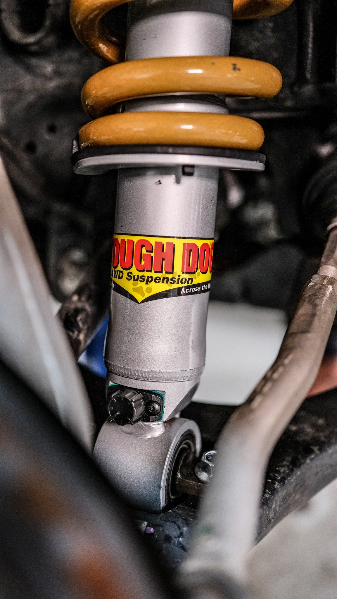 Tough Dog Adjustable Quick Fit Struts Ford Everest Next Gen